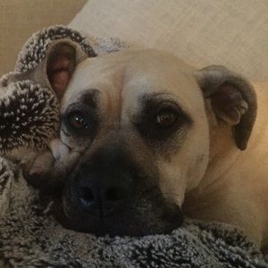 Meet your Posher, Isabelle